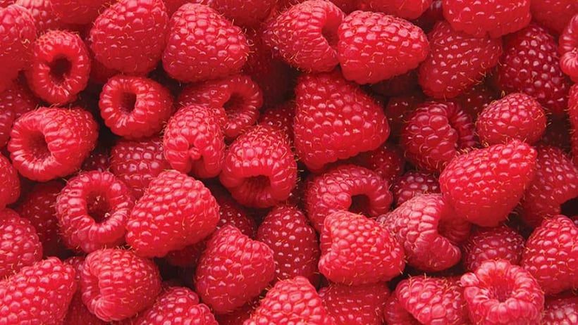 Gelato Recalled Due to Possible Norovirus in Raspberries Used