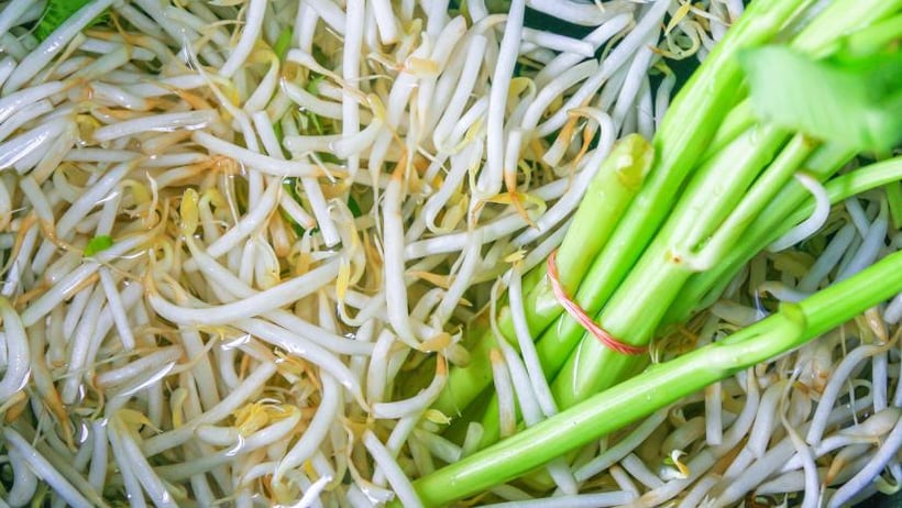 Canadian-Produced Pea Sprouts Found to Contain Listeria