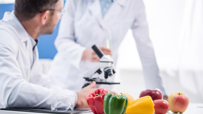 Government Launches Canadian Food Safety Information Network