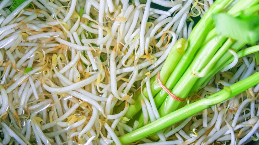 Canadian-Produced Pea Sprouts Found to Contain Listeria