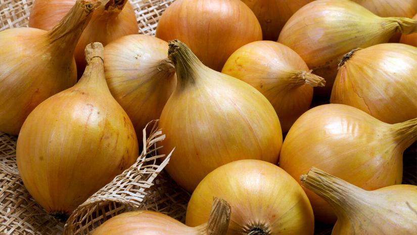 Onions Linked To Salmonella Outbreak Recalled In Canada