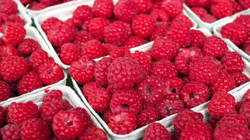2017 Norovirus Outbreak Linked to Mislabelled Raspberries