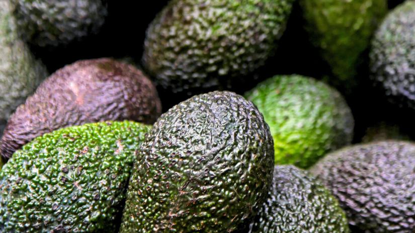 Ongoing Salmonella Outbreak Could be Linked to Avocados
